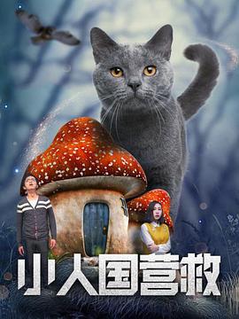 国产久在线观看
