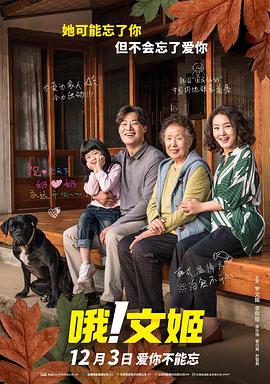 不卡在线播放