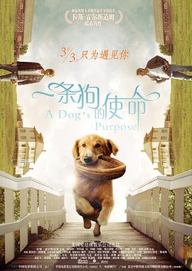 rct在线播放